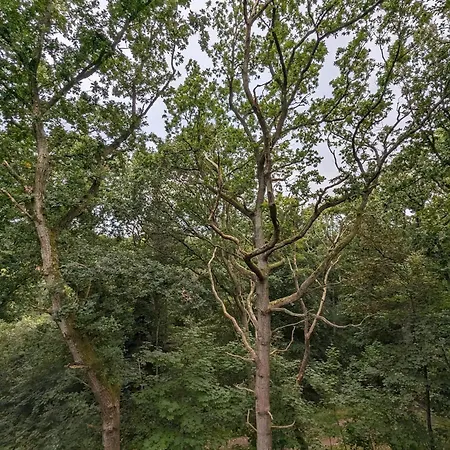 6 Person In Hadsund-by Traum Lejlighed *